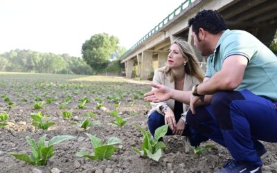 María Guardiola anuncia la revisión de los eco-regímenes de la PAC para ayudar a los tabaqueros extremeños