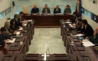 El PP le pide a Vergeles que se aprenda el decreto de estructura y pregunte en las comisiones oportunas