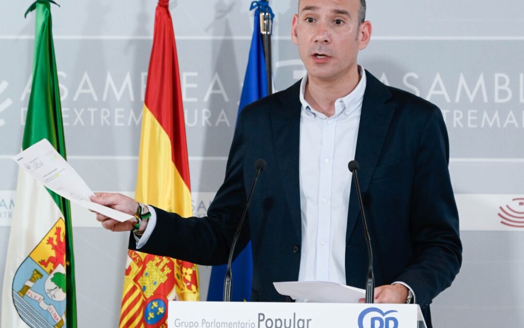 El PP espera que en el próximo pleno se de luz a los casi 14 millones de euros que han recibido entidades de cooperación con cargos socialistas